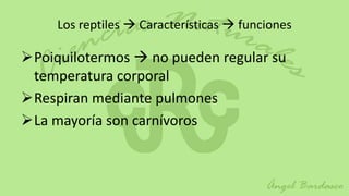 Los reptiles  Características  funciones

Poiquilotermos  no pueden regular su
 temperatura corporal
Respiran mediante pulmones
La mayoría son carnívoros
 