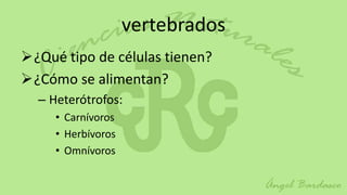vertebrados
¿Qué tipo de células tienen?
¿Cómo se alimentan?
  – Heterótrofos:
     • Carnívoros
     • Herbívoros
     • Omnívoros
 