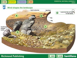 Wind shapes the landscape A B D C sand columns erg barchan reg mushroom shaped rocks CLICK ON THE LETTERS TO SEE MORE . 