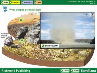 CLICK ON THE LETTERS TO SEE MORE . A B D C sand columns erg barchan reg mushroom shaped rocks Wind shapes the landscape SAND COLUMN A X [close] 