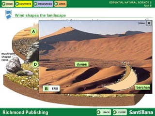 CLICK ON THE LETTERS TO SEE MORE . A B D C sand columns erg barchan reg mushroom shaped rocks Wind shapes the landscape barchan dunes ERG B X [close] 