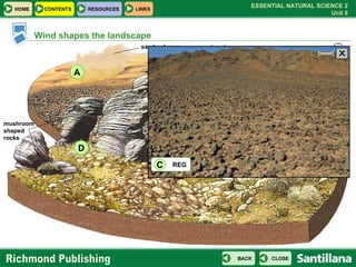 CLICK ON THE LETTERS TO SEE MORE . A B D C sand columns erg barchan reg mushroom shaped rocks Wind shapes the landscape REG C X [close] 