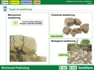 Types of weathering Mechanical weathering Chemical weathering Biological weathering plant roots clay minerals CLICK TO SEE PROCESS:  FREEZE-THAW WEATHERING 