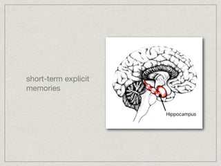 short-term explicit
memories
 