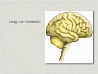 Long-term memories
 