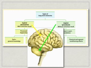 IMPLICIT VS EXPLICIT MEMORIES
 