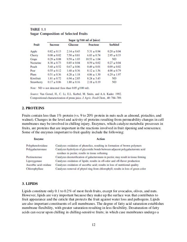 wedding video contract template