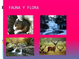 FAUNA Y FLORA 
 