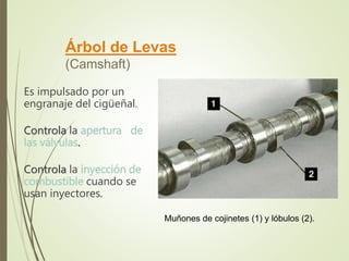 Árbol de Levas 
(Camshaft) 
Es impulsado por un 
engranaje del cigüeñal. 
Controla la apertura de 
las válvulas. 
Controla la inyección de 
combustible cuando se 
usan inyectores. 
Muñones de cojinetes (1) y lóbulos (2). 
 