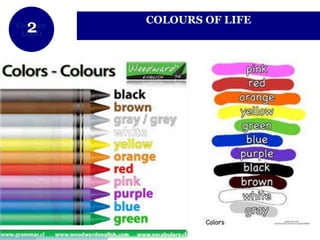 www.company.com
Company
LOGO
COLOURS OF LIFE
 