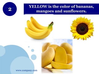 www.company.com
Company
LOGO
YELLOW is the color of bananas,
mangoes and sunflowers.
 