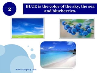 www.company.com
Company
LOGO
BLUE is the color of the sky, the sea
and blueberries.
 