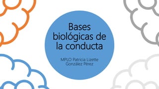 Bases
biológicas de
la conducta
MPLO Patricia Lizette
González Pérez
 