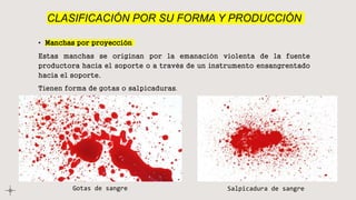 CLASIFICACIÓN POR SU FORMA Y PRODUCCIÓN
• Manchas por proyección
Estas manchas se originan por la emanación violenta de la fuente
productora hacia el soporte o a través de un instrumento ensangrentado
hacia el soporte.
Tienen forma de gotas o salpicaduras.
Gotas de sangre Salpicadura de sangre
 