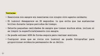 Ventajas
• Reacciona con sangre sin mezclarse con ningún otro agente oxidante.
• El luminol desaparece en 30 segundos, lo que evita que las sustancias
brillen durante largos períodos de tiempo.
• Detecta pequeñas cantidades de sangre que tienen muchos años, incluso si
se limpió la superficie/elemento con sangre.
• Se puede extraer ADN de forma segura para realizar análisis.
• Cualquier área que se rocía con Luminol se puede fotografiar para
proporcionar evidencia permanente de un delito.
 