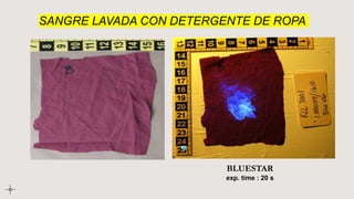 SANGRE LAVADA CON DETERGENTE DE ROPA
BLUESTAR
exp. time : 20 s
 