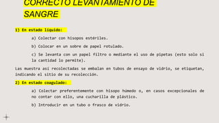 CORRECTO LEVANTAMIENTO DE
SANGRE
1) En estado líquido:
a) Colectar con hisopos estériles.
b) Colocar en un sobre de papel rotulado.
c) Se levanta con un papel filtro o mediante el uso de pipetas (esto solo si
la cantidad lo permite).
Las muestra así recolectadas se embalan en tubos de ensayo de vidrio, se etiquetan,
indicando el sitio de su recolección.
2) En estado coagulado:
a) Colectar preferentemente con hisopo húmedo o, en casos excepcionales de
no contar con ello, una cucharilla de plástico.
b) Introducir en un tubo o frasco de vidrio.
 