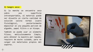 3) Sangre seca:
Si la mancha se encuentra seca
sobre una superficie
intransportable, el material puede
ser disuelto en cierta cantidad de
solución salina normal (suero
fisiológico), posteriormente
depositar en una pequeña porción de
algodón, papel filtro o un hisopo.
También se puede usar un elemento
filoso, meticulosamente limpio,
para obtener la muestra por rapado;
requiere de mucho cuidado, para no
cargar con materiales propios del
soporte.
 