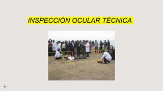 INSPECCIÓN OCULAR TÉCNICA
 