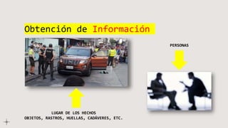 Obtención de Información
LUGAR DE LOS HECHOS
OBJETOS, RASTROS, HUELLAS, CADÁVERES, ETC.
PERSONAS
 