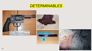 DETERMINABLES
 