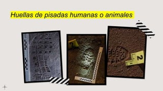 Huellas de pisadas humanas o animales
 