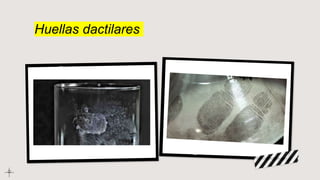 Huellas dactilares
 