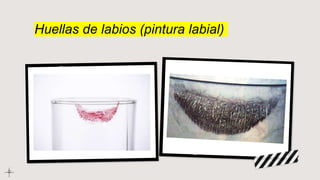 Huellas de labios (pintura labial)
 