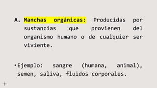 A. Manchas orgánicas: Producidas por
sustancias que provienen del
organismo humano o de cualquier ser
viviente.
•Ejemplo: sangre (humana, animal),
semen, saliva, fluidos corporales.
 