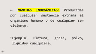 B. MANCHAS INORGÁNICAS: Producidas
por cualquier sustancia extraña al
organismo humano o de cualquier ser
viviente.
•Ejemplo: Pintura, grasa, polvo,
líquidos cualquiera.
 