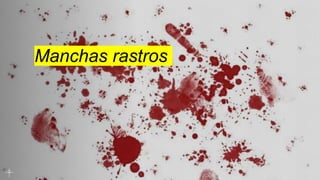 Manchas rastros
 