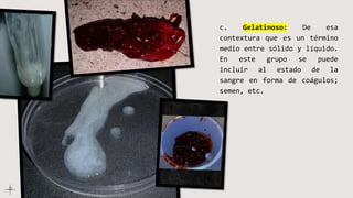 c. Gelatinoso: De esa
contextura que es un término
medio entre sólido y líquido.
En este grupo se puede
incluir al estado de la
sangre en forma de coágulos;
semen, etc.
 