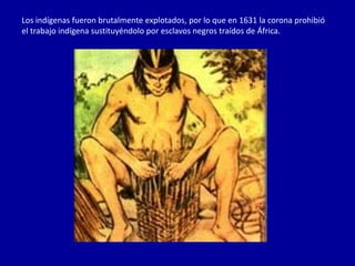 Los indígenas fueron brutalmente explotados, por lo que en 1631 la corona prohibió
el trabajo indígena sustituyéndolo por esclavos negros traídos de África.
 