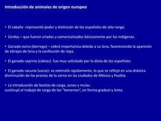Introducción de animales de origen europeo



• El caballo -representó poder y distinción de los españoles de alto rango.

• Cerdos – que fueron criados y comercializados básicamente por los indígenas.

• Ganado ovino (borrego) – cobró importancia debido a su lana, favoreciendo la aparición
de obrajes de lana y la confección de ropa.

• El ganado caprino (cabras) -fue muy solicitado por la dieta de los españoles

• El ganado vacuno (vacas)- se extendió rápidamente, lo que se reflejó en una drástica
disminución de los precios de la carne en las ciudades de México y Puebla.

• La introducción de bestias de carga, asnos y mulas
sustituyó el trabajo de carga de los “tamemes”, en forma gradual y lenta.
 