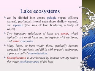 LINEA DE TERMOS STANLEY, - Rivers Lakes & Oceans