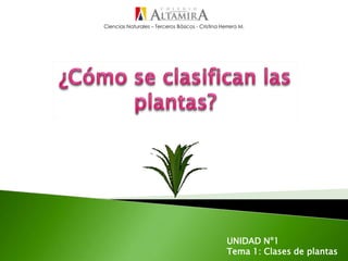 Ciencias Naturales – Terceros Básicos - Cristina Herrera M.
UNIDAD Nº1
Tema 1: Clases de plantas
 