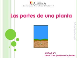 UNIDAD Nº1
Tema 2: Las partes de las plantas.
ProfesoraCristinaHerreraM.
Ciencias Naturales – Terceros Básicos - Cristina Herrera M.
 