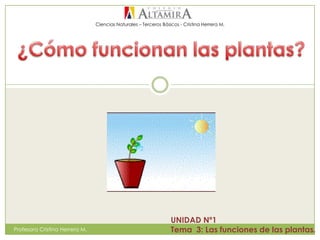 Ciencias Naturales – Terceros Básicos - Cristina Herrera M.
Profesora Cristina Herrera M.
UNIDAD Nº1
Tema 3: Las funciones de las plantas.
 