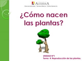 Ciencias Naturales – Terceros Básicos - Cristina Herrera M.
UNIDAD Nº1
Tema 4: Reproducción de las plantas.
 