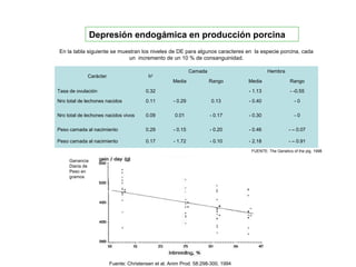 Carácter h2
Camada Hembra
Media Rango Media Rango
Tasa de ovulación 0.32 - 1.13 - -0.55
Nro total de lechones nacidos 0.11 - 0.29 0.13 - 0.40 - 0
Nro total de lechones nacidos vivos 0.09 0.01 - 0.17 - 0.30 - 0
Peso camada al nacimiento 0.29 - 0.15 - 0.20 - 0.46 - – 0.07
Peso camada al nacimiento 0.17 - 1.72 - 0.10 - 2.18 - – 0.91
En la tabla siguiente se muestran los niveles de DE para algunos caracteres en la especie porcina, cada
un incremento de un 10 % de consanguinidad.
FUENTE: The Genetics of the pig. 1998
Depresión endogámica en producción porcina
Fuente: Christensen et al. Anim Prod. 58:298-300, 1994
Ganancia
Diaria de
Peso en
gramos
 