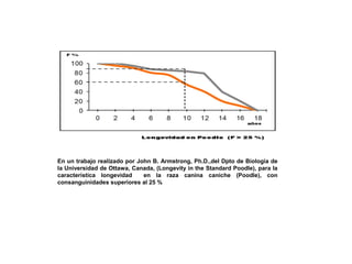 En un trabajo realizado por John B. Armstrong, Ph.D.,del Dpto de Biología de
la Universidad de Ottawa, Canada, (Longevity in the Standard Poodle), para la
característica longevidad en la raza canina caniche (Poodle), con
consanguinidades superiores al 25 %
 