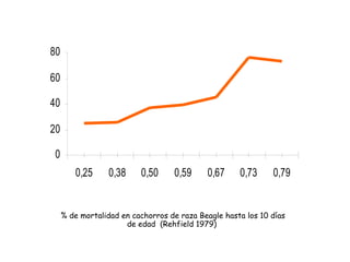 0
20
40
60
80
0,25 0,38 0,50 0,59 0,67 0,73 0,79
% de mortalidad en cachorros de raza Beagle hasta los 10 días
de edad (Rehfield 1979)
 