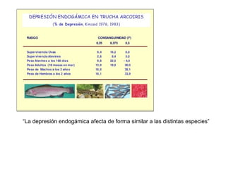“La depresión endogámica afecta de forma similar a las distintas especies”
 