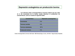 Característica Depresión consanguínea
Crecimiento 5 %
Terneros nacidos 4 %
Terneros destetados 10 %
Producción lechera 3 %
Los informes sobre consanguinidad en bovinos indican que por cada
10 % de incremento de la misma, puede disminuir la producción de
características, como lo muestra la siguiente tabla.
Depresión endogámica en producción bovina
Fuente: Consanguinidad en bovinos- Bob Guest*. 2008. Revista Angus, Bs. As., 241:54-55. *Angus Society of Australia.
 