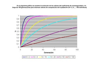 En la siguiente gráfica se muestra la evolución de los valores del coeficiente de consanguinidad, a lo
largo de 100 generaciones para diversos valores de composición de la población (N = 2, 4, ... 100 individuos)
 