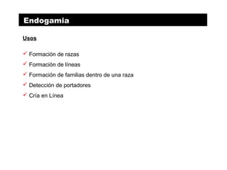 Endogamia
Usos
 Formación de razas
 Formación de líneas
 Formación de familias dentro de una raza
 Detección de portadores
 Cría en Línea
 