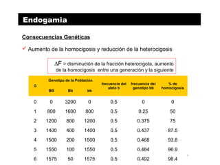 Endogamia
Consecuencias Genéticas
 Aumento de la homocigosis y reducción de la heterocigosis
∆F = disminución de la fracción heterocigota, aumento
de la homocigosis entre una generación y la siguiente
FUENTE: Lasley, J. 1972. Genética del Mejoramiento del Ganado
G
Genotipo de la Población
frecuencia del
alelo b
frecuencia del
genotipo bb
% de
homocigosis
BB Bb bb
0 0 3200 0 0.5 0 0
1 800 1600 800 0.5 0.25 50
2 1200 800 1200 0.5 0.375 75
3 1400 400 1400 0.5 0.437 87.5
4 1500 200 1500 0.5 0.468 93.8
5 1550 100 1550 0.5 0.484 96.9
6 1575 50 1575 0.5 0.492 98.4
 