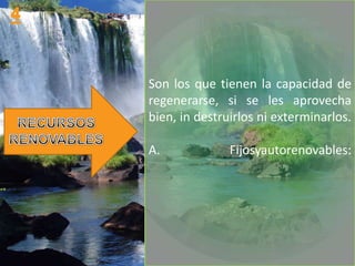 Son los que tienen la capacidad de
regenerarse, si se les aprovecha
bien, in destruirlos ni exterminarlos.

A.             Fijosyautorenovables:
 