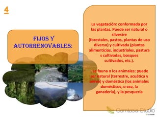 La vegetación: conformada por
                     las plantas. Puede ser natural o
                                   silvestre
     Fijos y       (forestales, pastos, plantas de uso
autorrenovables:       diverso) y cultivada (plantas
                   alimenticias, industriales, pastura
                           s cultivadas, bosques
                              cultivados, etc.).

                   · La fauna o los animales: puede
                   ser natural (terrestre, acuática y
                   aérea) y doméstica (los animales
                          domésticos, o sea, la
                       ganadería), y la pesquería
 