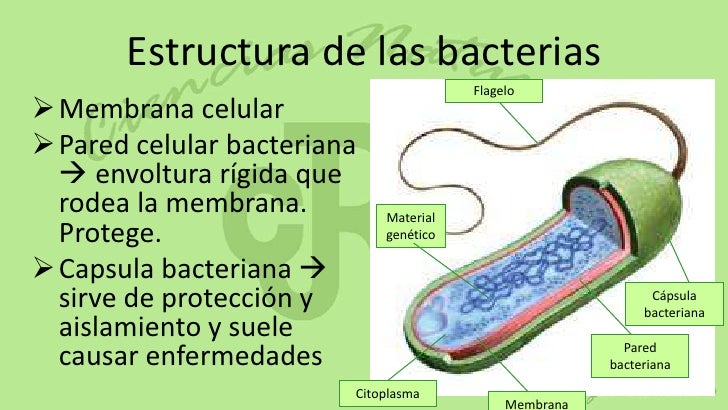 Los Sencillos - Seres Positivos Los Sencillos - Seres Positivos